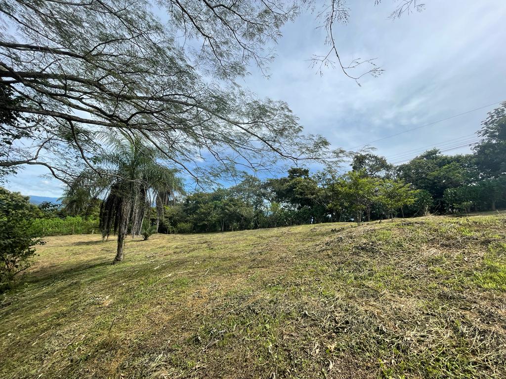 0 bed Land For Sale in Atenas, Alajuela - thumb 5