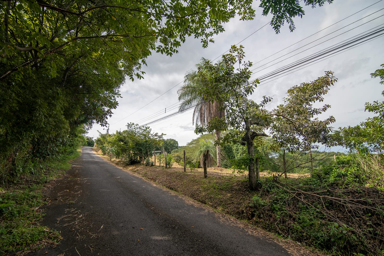 0 bed Land For Sale in Atenas, Alajuela - thumb 11