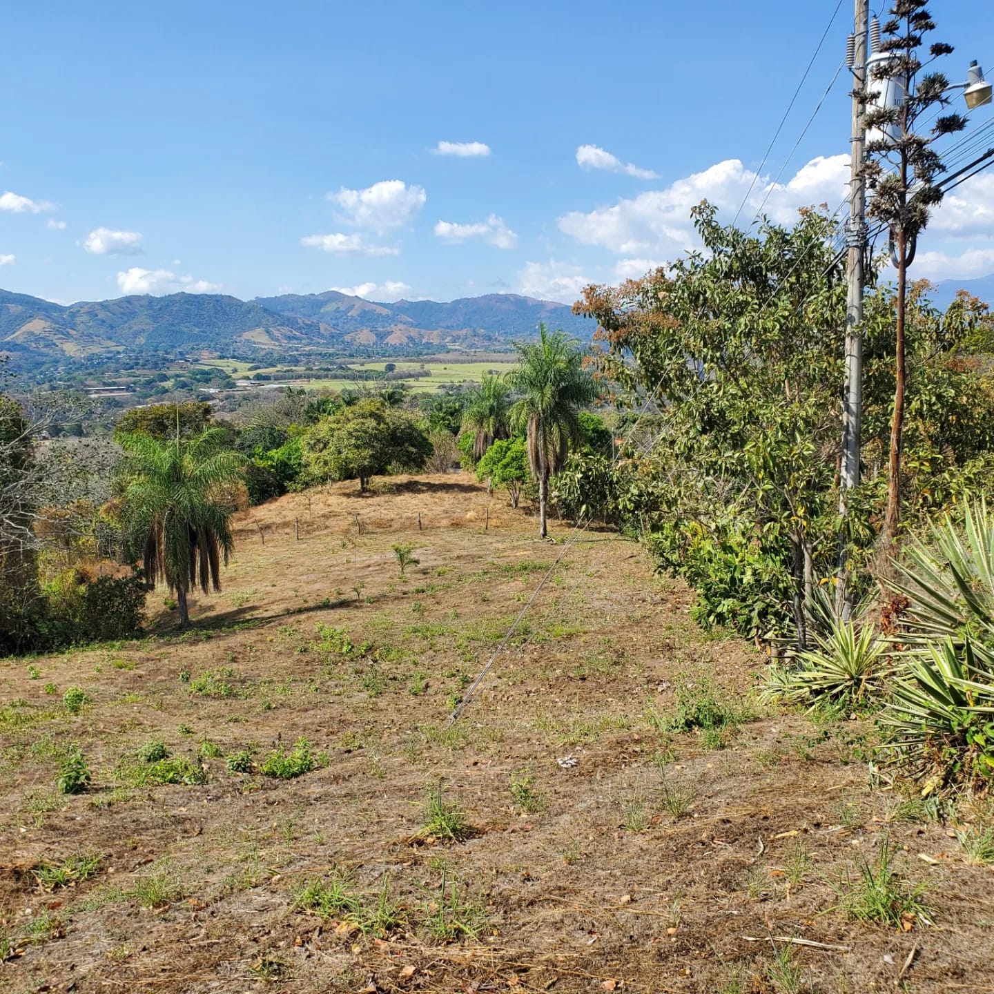 0 bed Land For Sale in Atenas, Alajuela - thumb 4