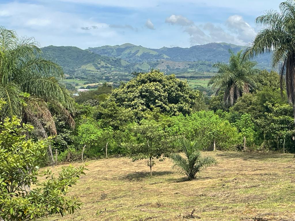 0 bed Land For Sale in Atenas, Alajuela - thumb 7