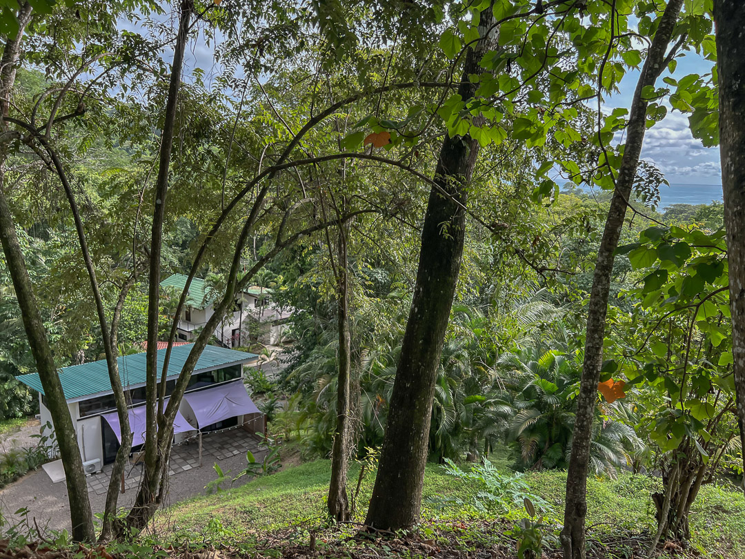 10 bed Single Family Homes For Sale in Malpais, Puntarenas - thumb 27