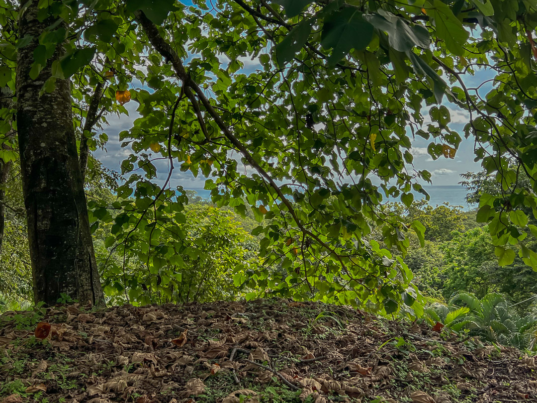 10 bed Single Family Homes For Sale in Malpais, Puntarenas - thumb 26