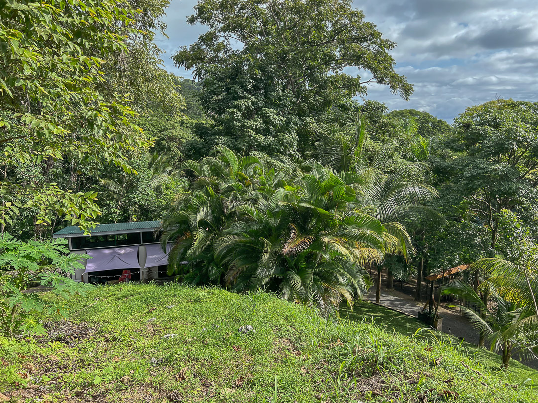 10 bed Single Family Homes For Sale in Malpais, Puntarenas - thumb 29