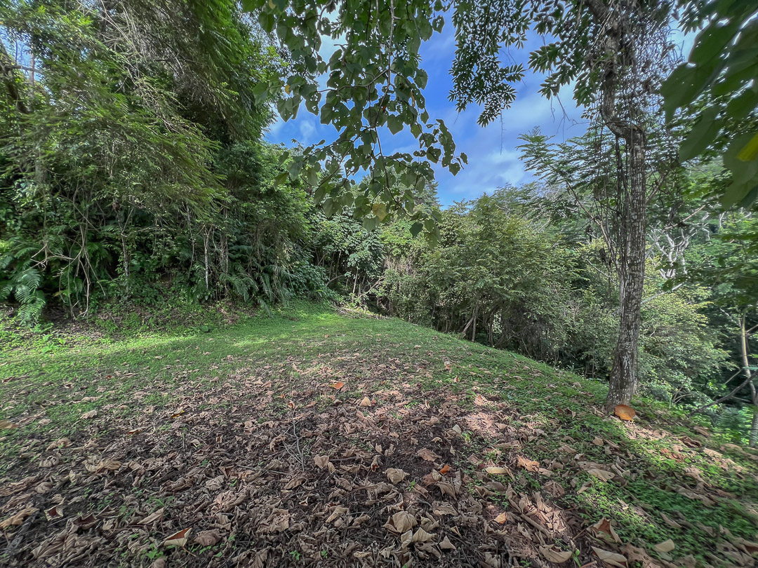 10 bed Single Family Homes For Sale in Malpais, Puntarenas - thumb 28