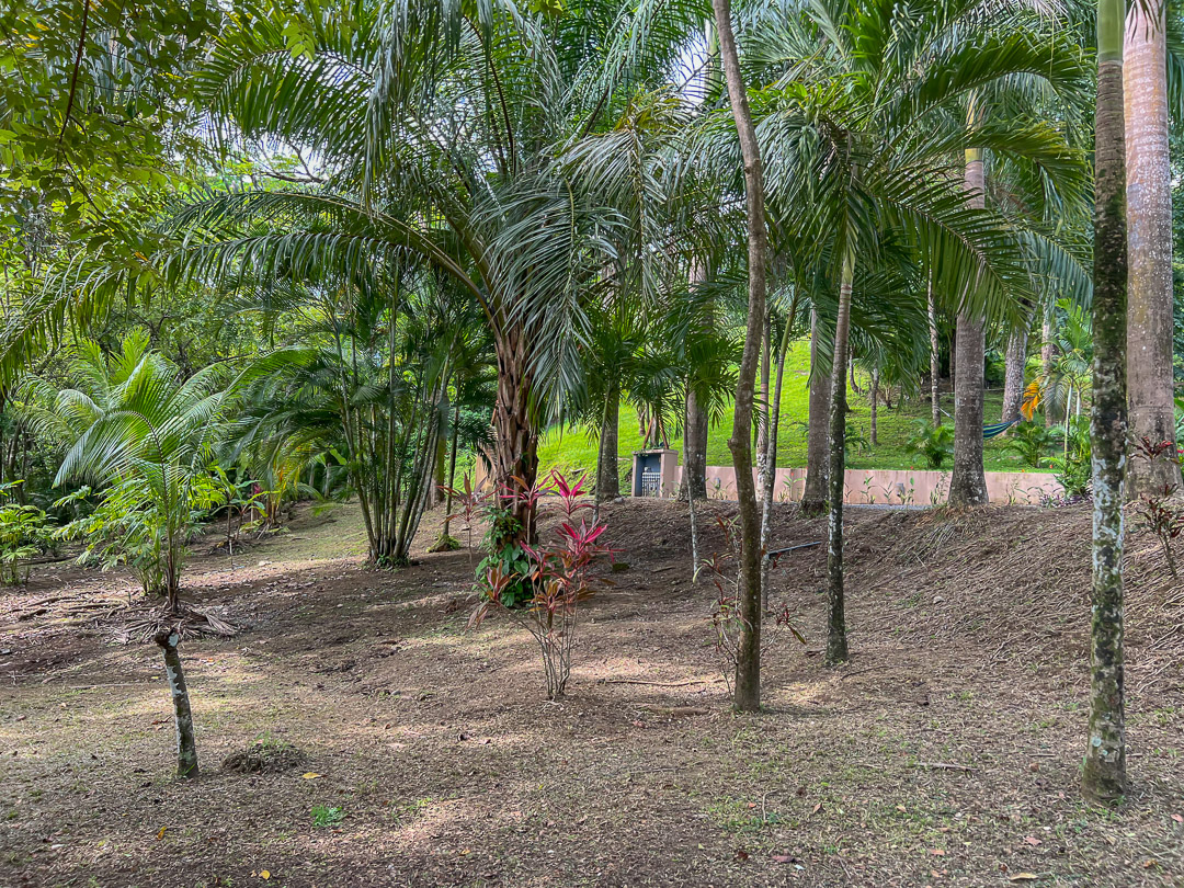 10 bed Single Family Homes For Sale in Malpais, Puntarenas - thumb 17