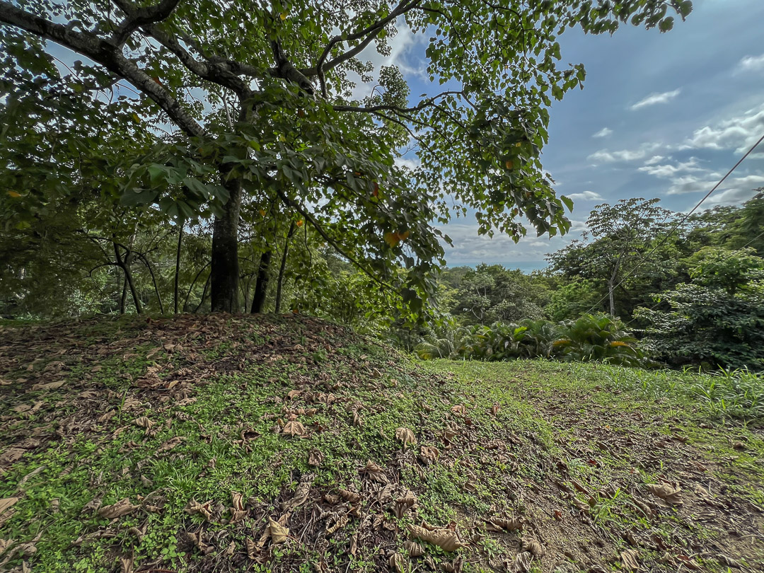 10 bed Single Family Homes For Sale in Malpais, Puntarenas - thumb 24