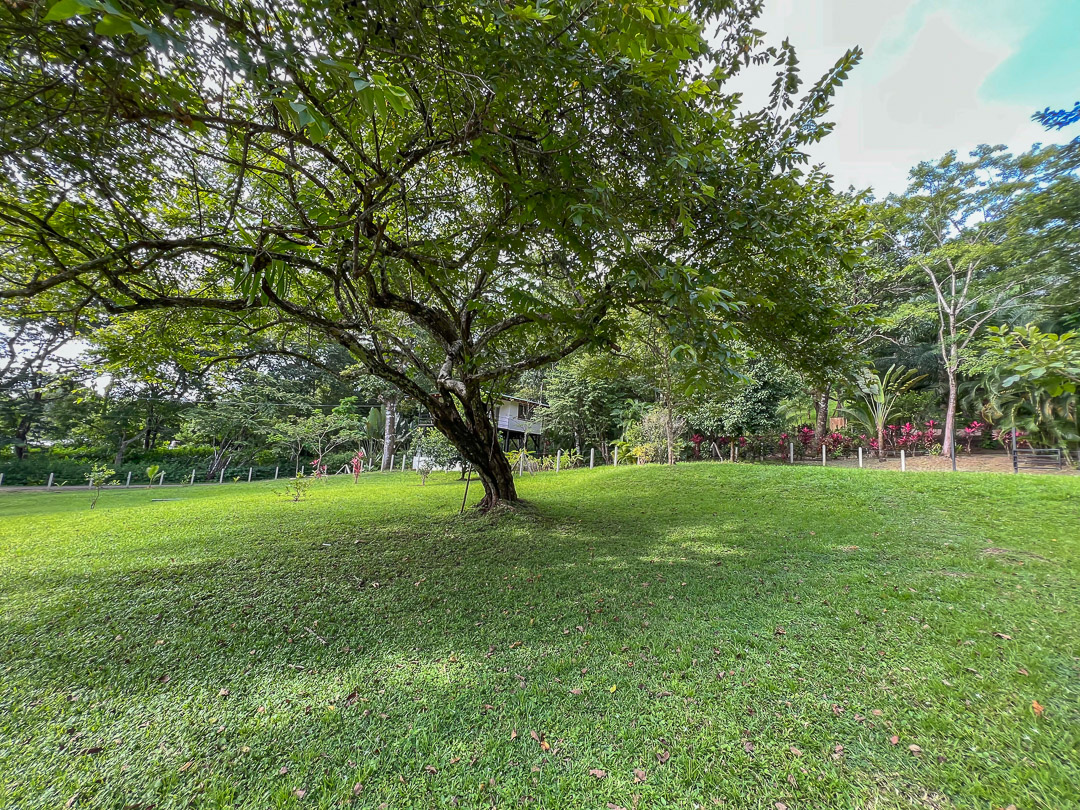 10 bed Single Family Homes For Sale in Malpais, Puntarenas - thumb 15