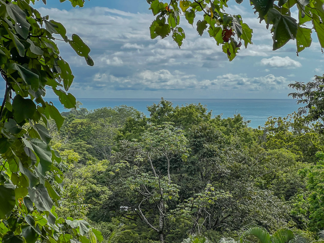 10 bed Single Family Homes For Sale in Malpais, Puntarenas - thumb 25