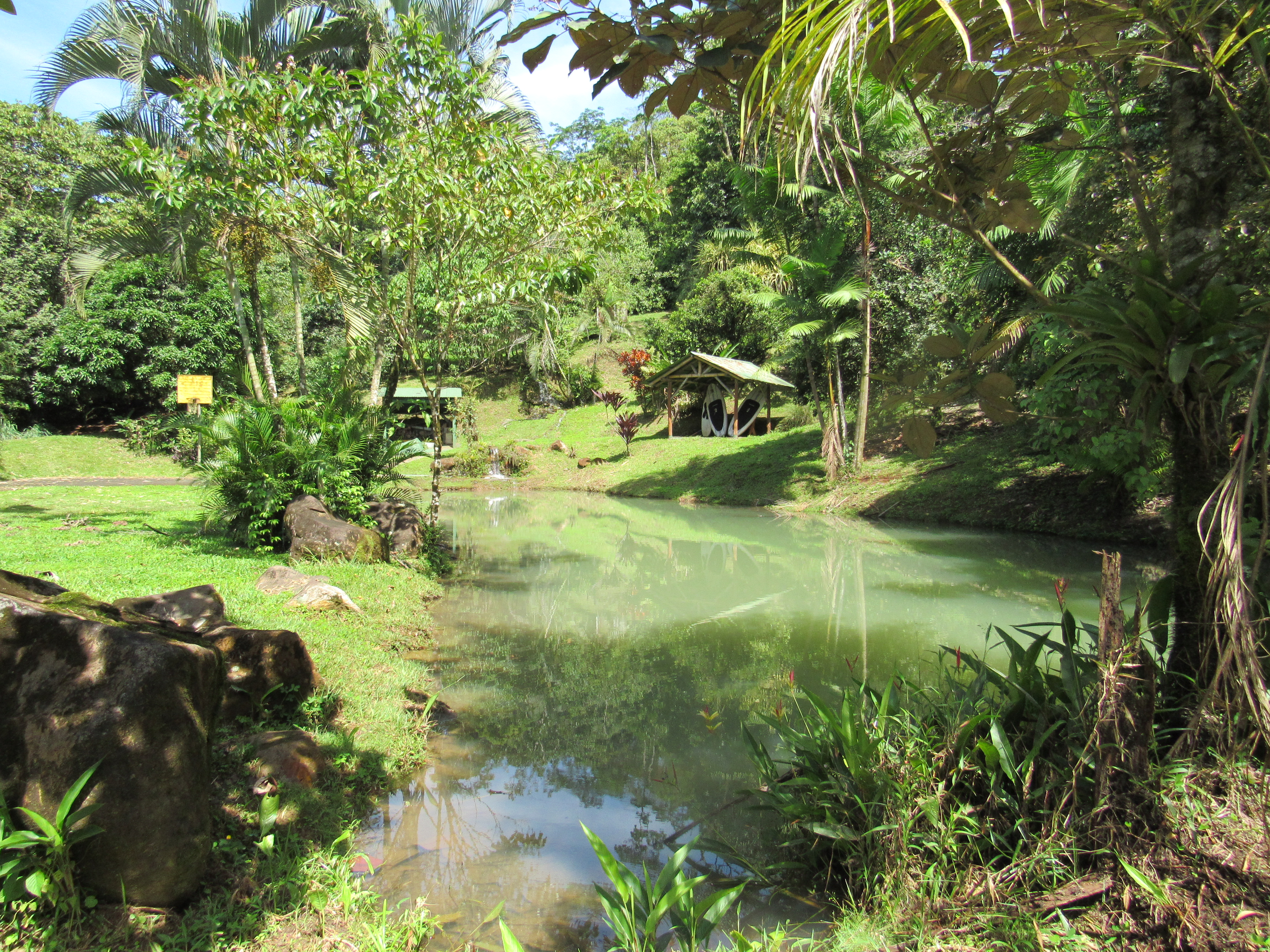 7 bed Single Family Homes For Sale in La Fortuna, Alajuela - thumb 14