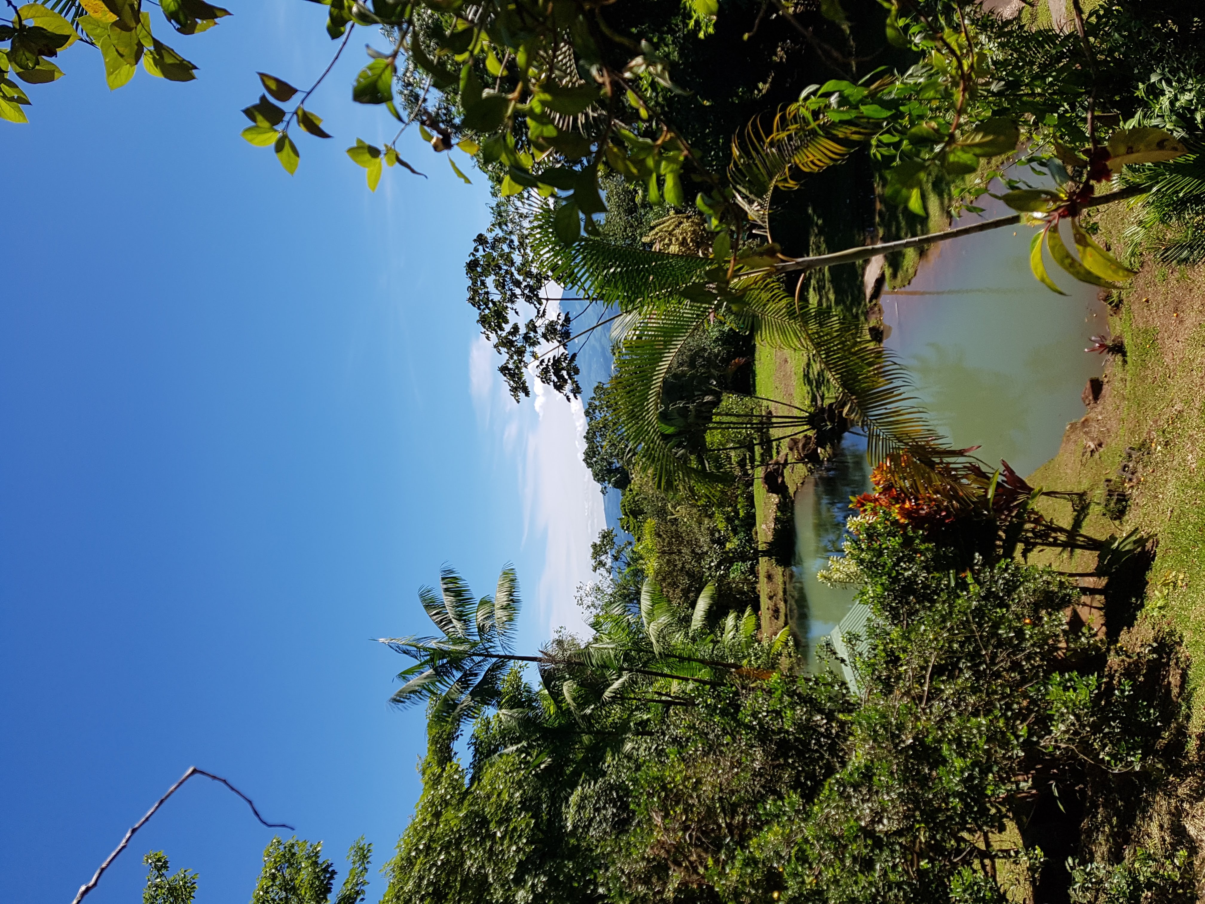 7 bed Single Family Homes For Sale in La Fortuna, Alajuela - thumb 30