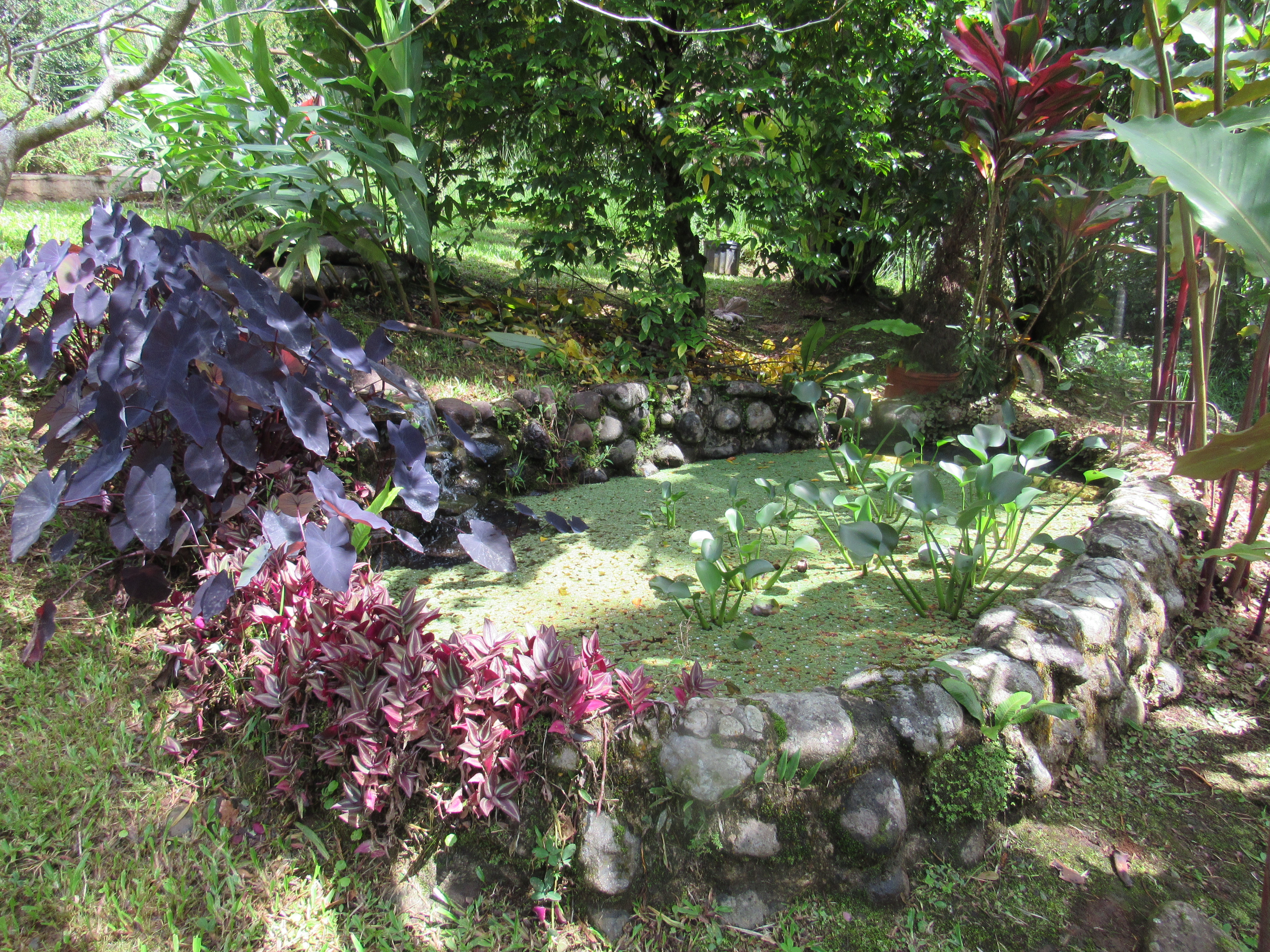 7 bed Single Family Homes For Sale in La Fortuna, Alajuela - thumb 1