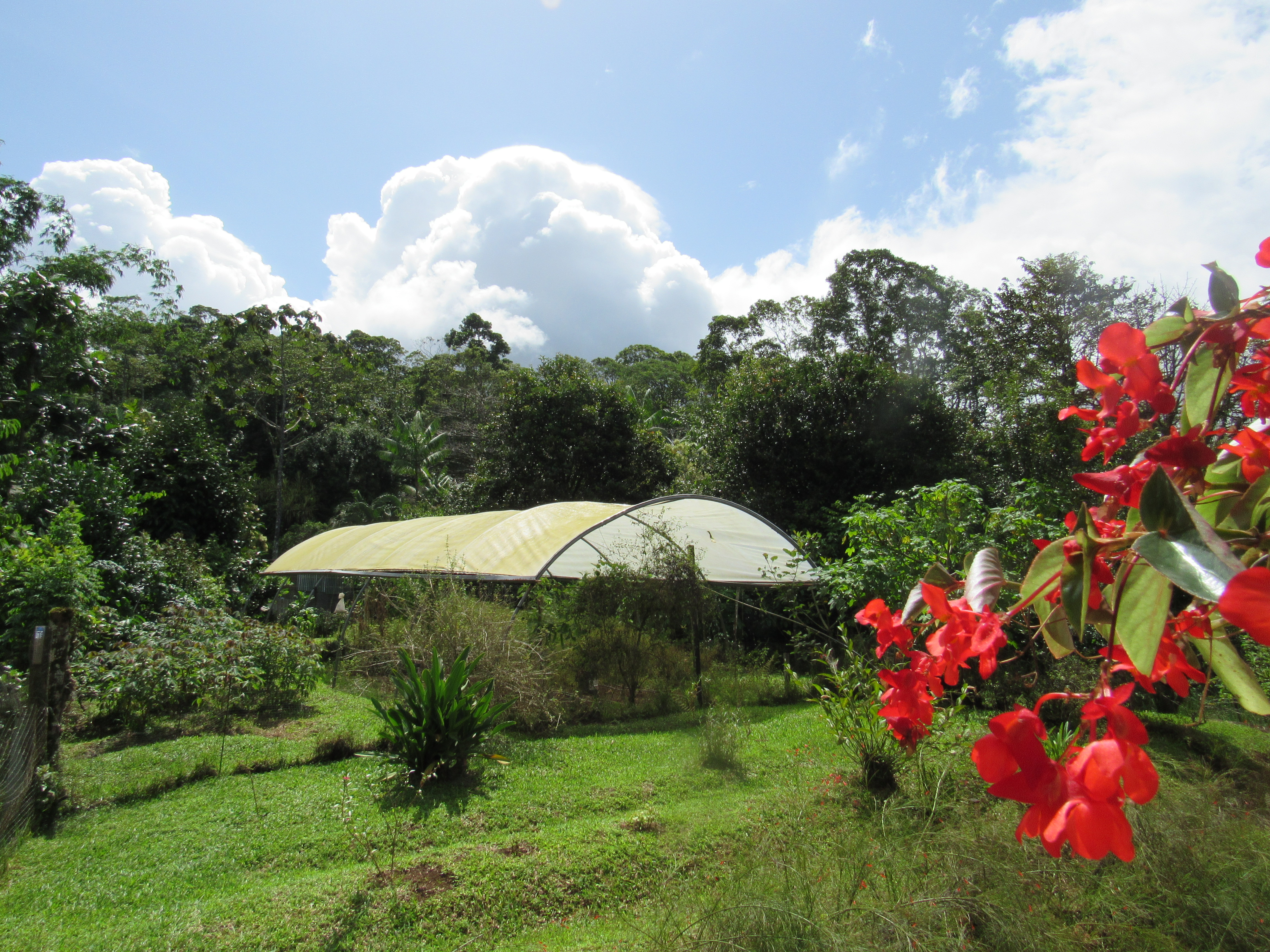 7 bed Single Family Homes For Sale in La Fortuna, Alajuela - thumb 4