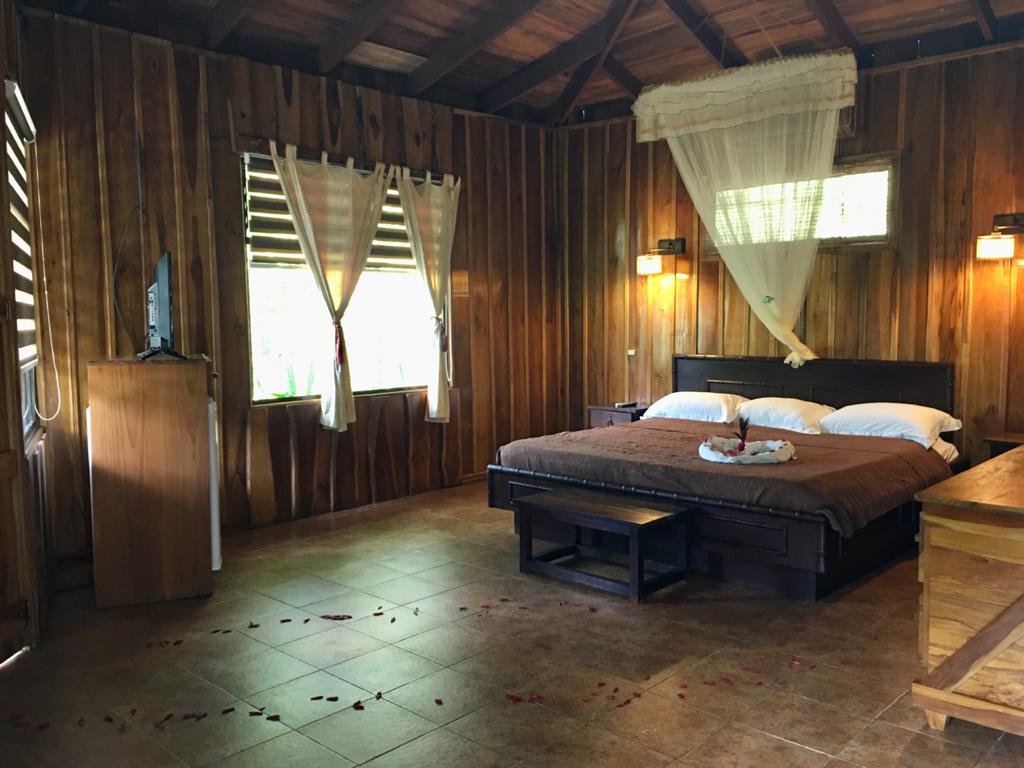 20 bed Hotel / Leisure For Sale in Alajuela, Alajuela - thumb 11