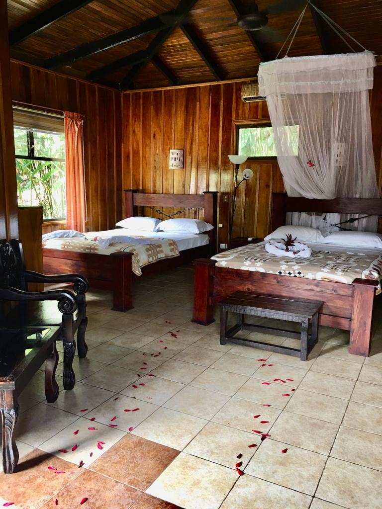 20 bed Hotel / Leisure For Sale in Alajuela, Alajuela - thumb 2