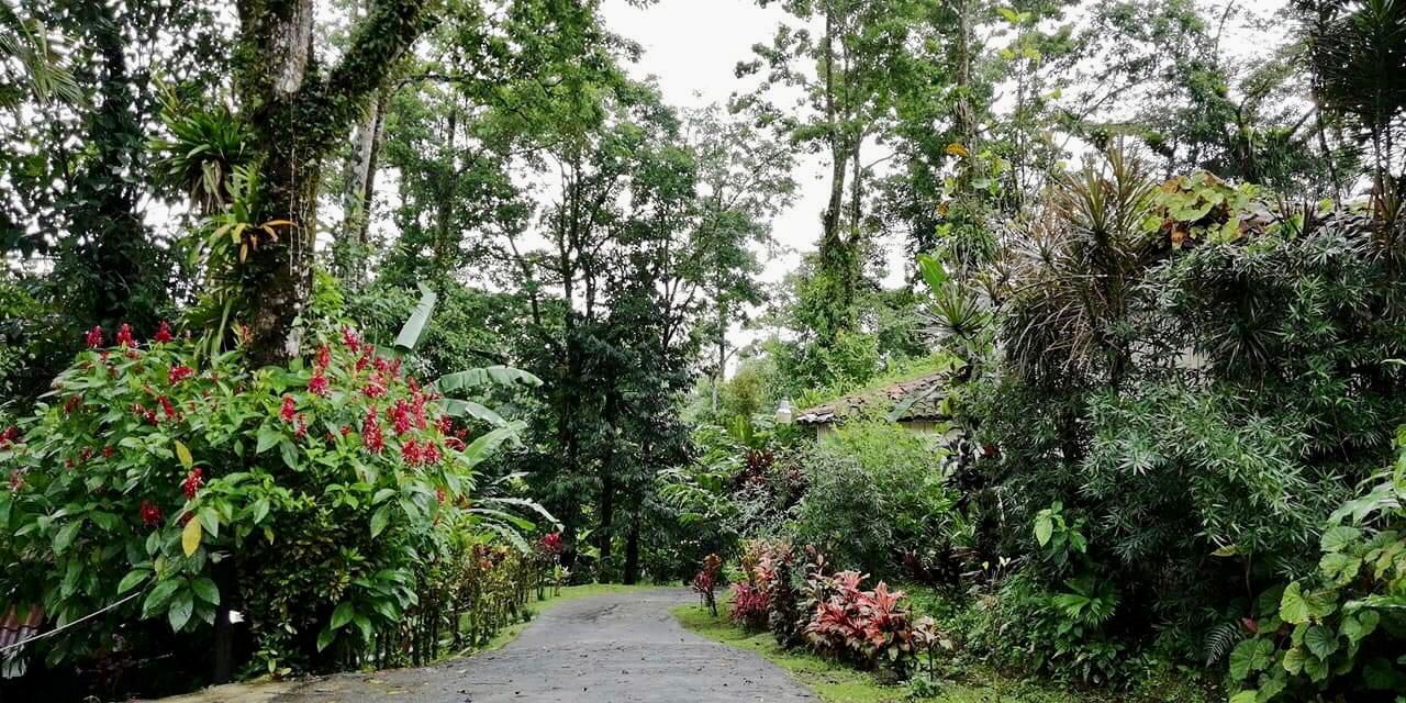 20 bed Hotel / Leisure For Sale in Alajuela, Alajuela - thumb 8