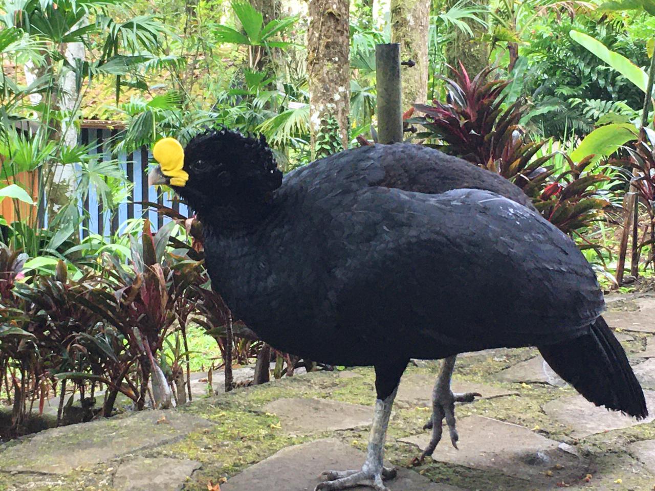 20 bed Hotel / Leisure For Sale in Alajuela, Alajuela - thumb 6