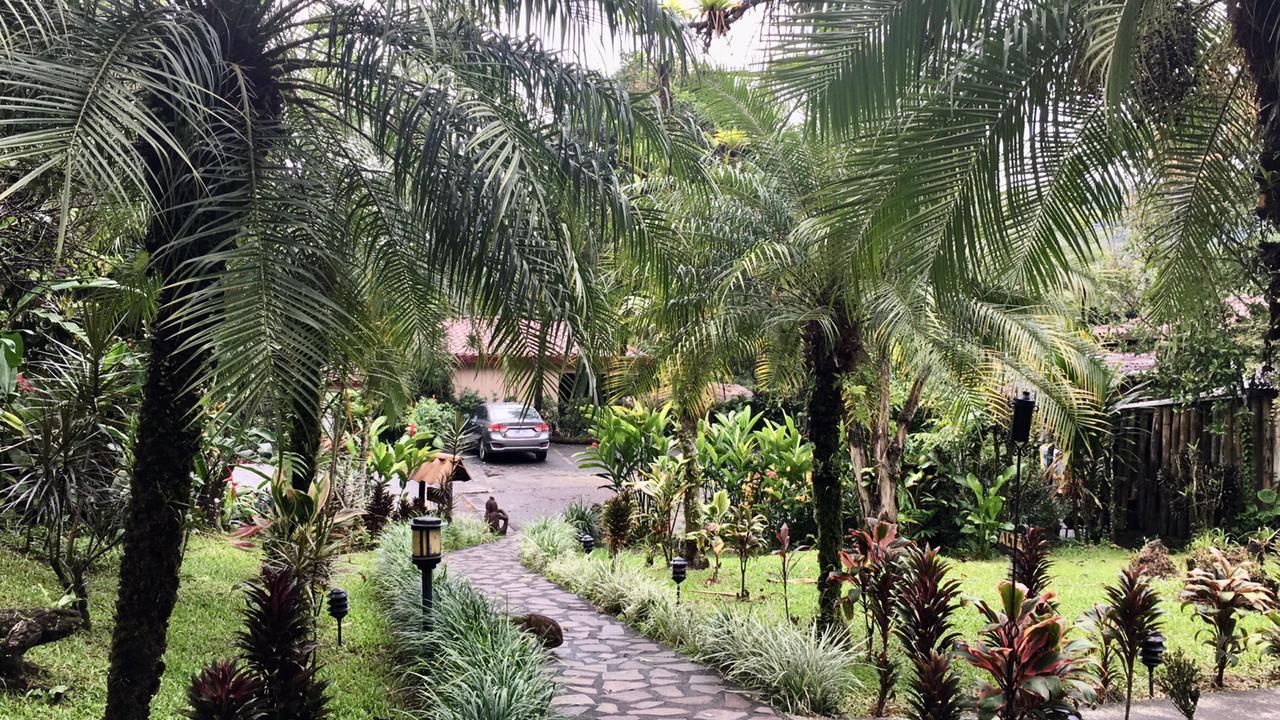 20 bed Hotel / Leisure For Sale in Alajuela, Alajuela - thumb 9