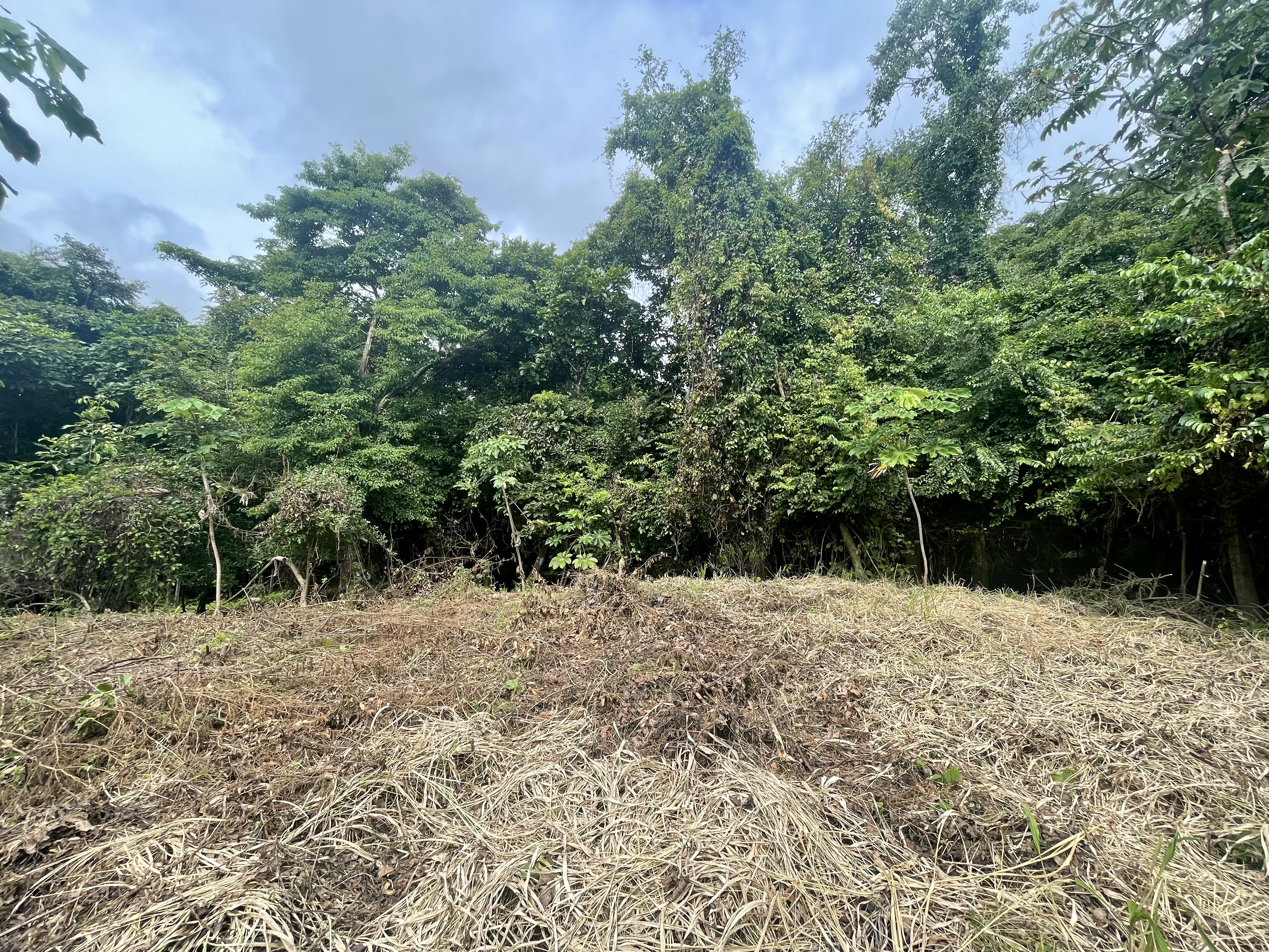 0 bed Land For Sale in Nosara, Guanacaste - thumb 1