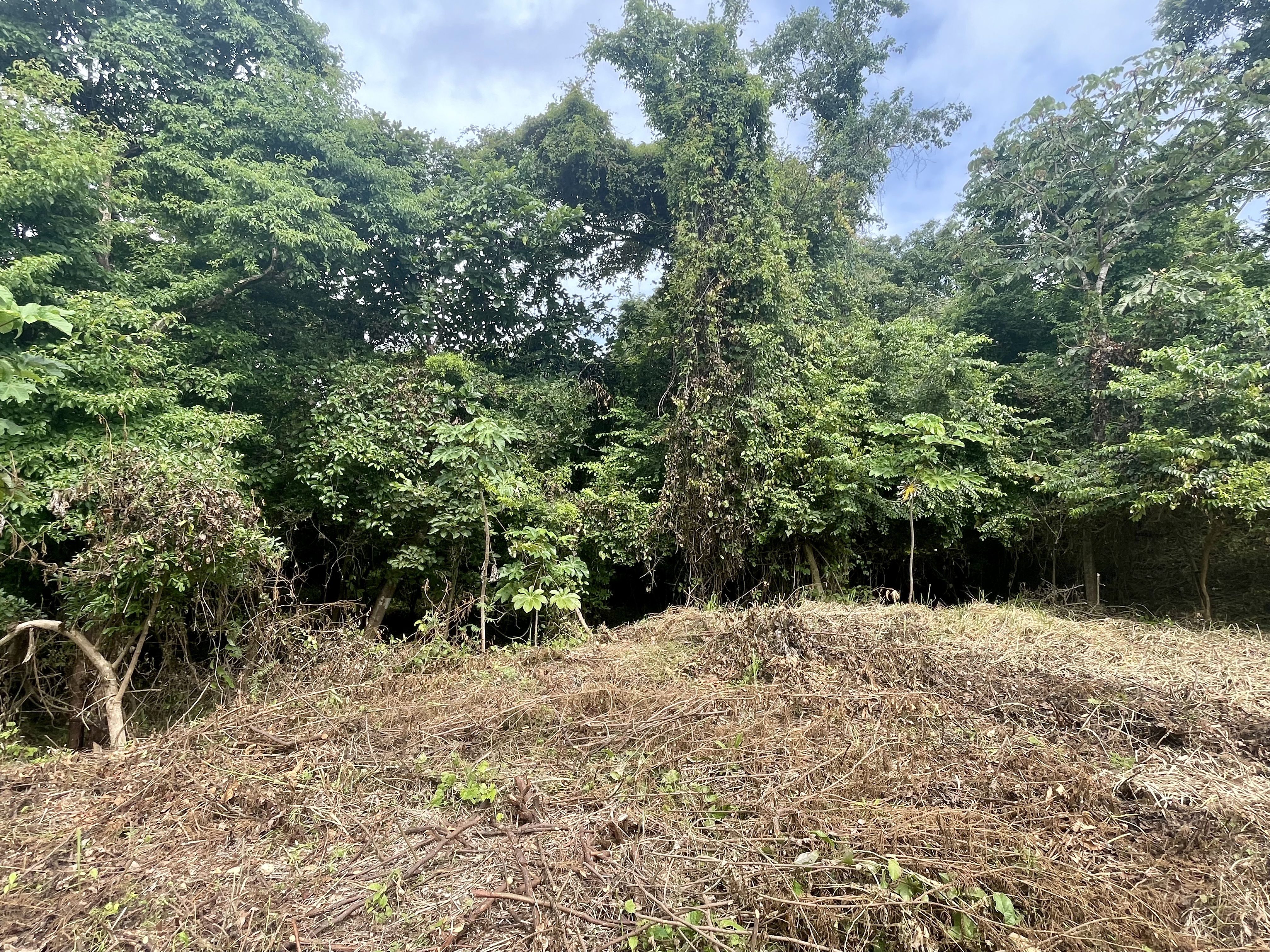 0 bed Land For Sale in Nosara, Guanacaste - thumb 4