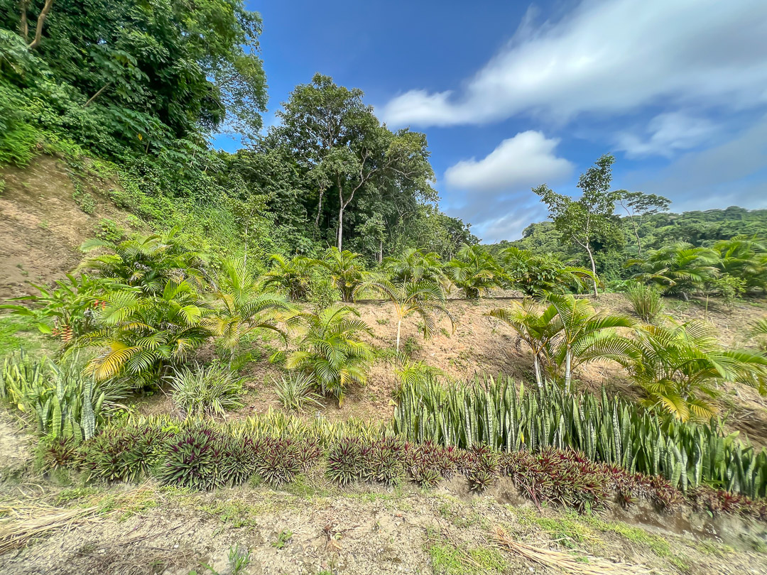 0 bed Land For Sale in Malpais, Puntarenas - thumb 18