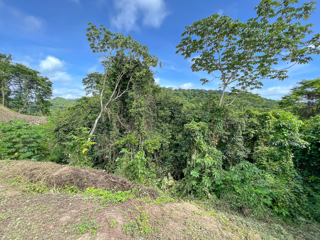 0 bed Land For Sale in Malpais, Puntarenas - thumb 8