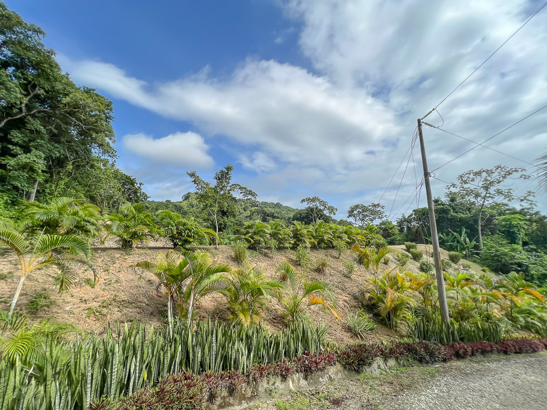 0 bed Land For Sale in Malpais, Puntarenas - thumb 20
