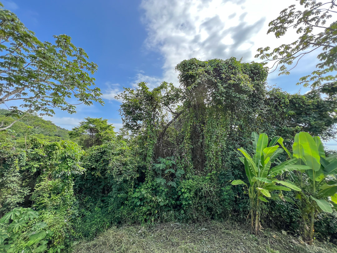 0 bed Land For Sale in Malpais, Puntarenas - thumb 7