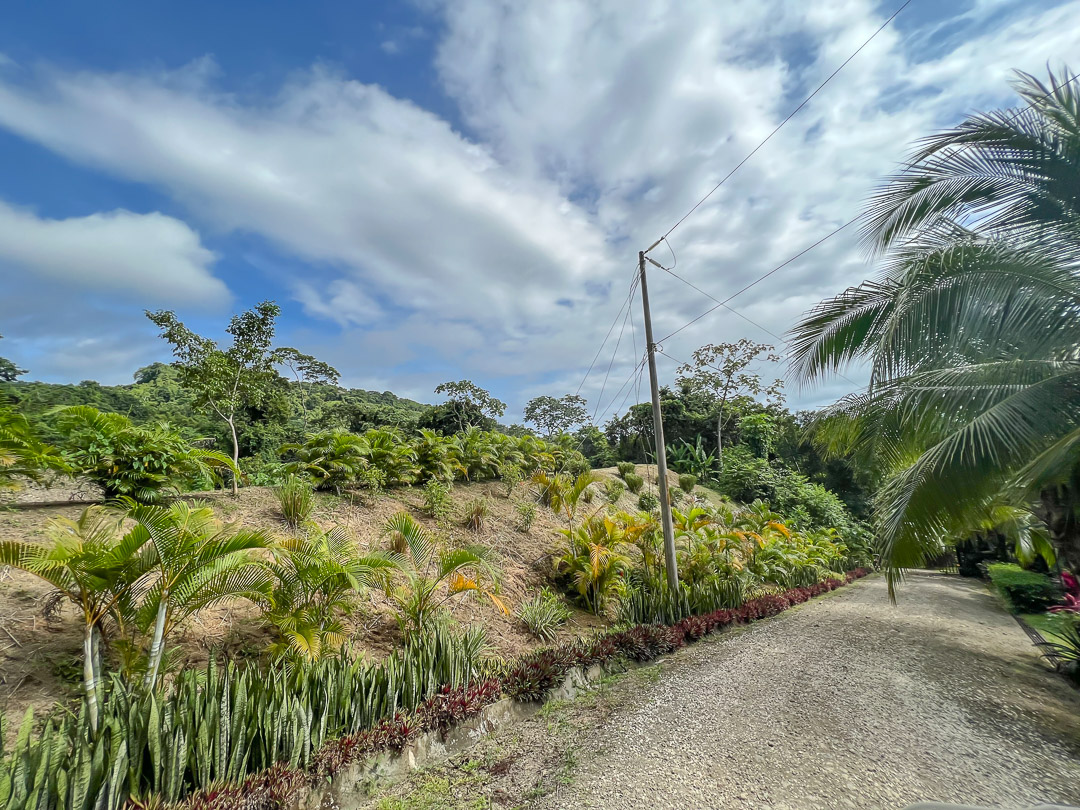 0 bed Land For Sale in Malpais, Puntarenas - thumb 19