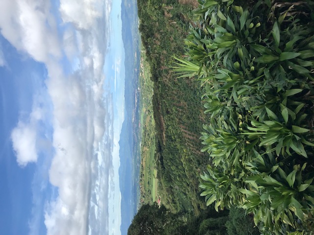 2 bed Single Family Homes For Sale in Grecia, Alajuela - thumb 3