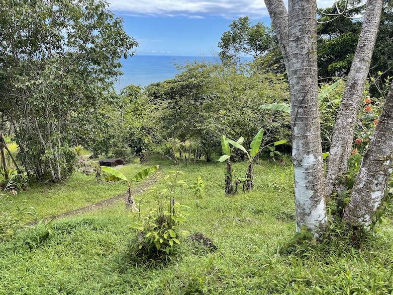 0 bed Land For Sale in Dominical, Puntarenas - thumb 3