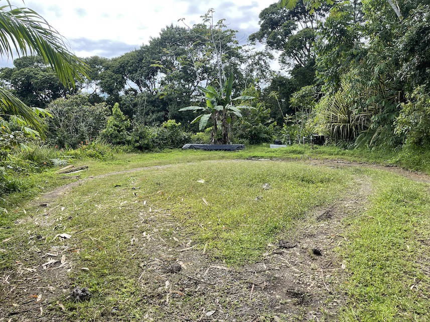 0 bed Land For Sale in Dominical, Puntarenas - thumb 8