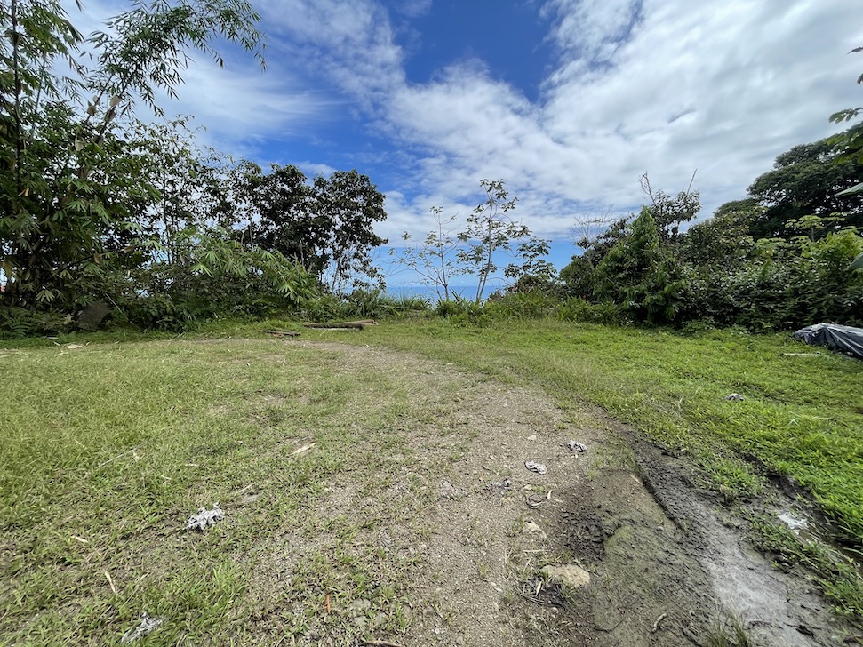 0 bed Land For Sale in Dominical, Puntarenas - thumb 7