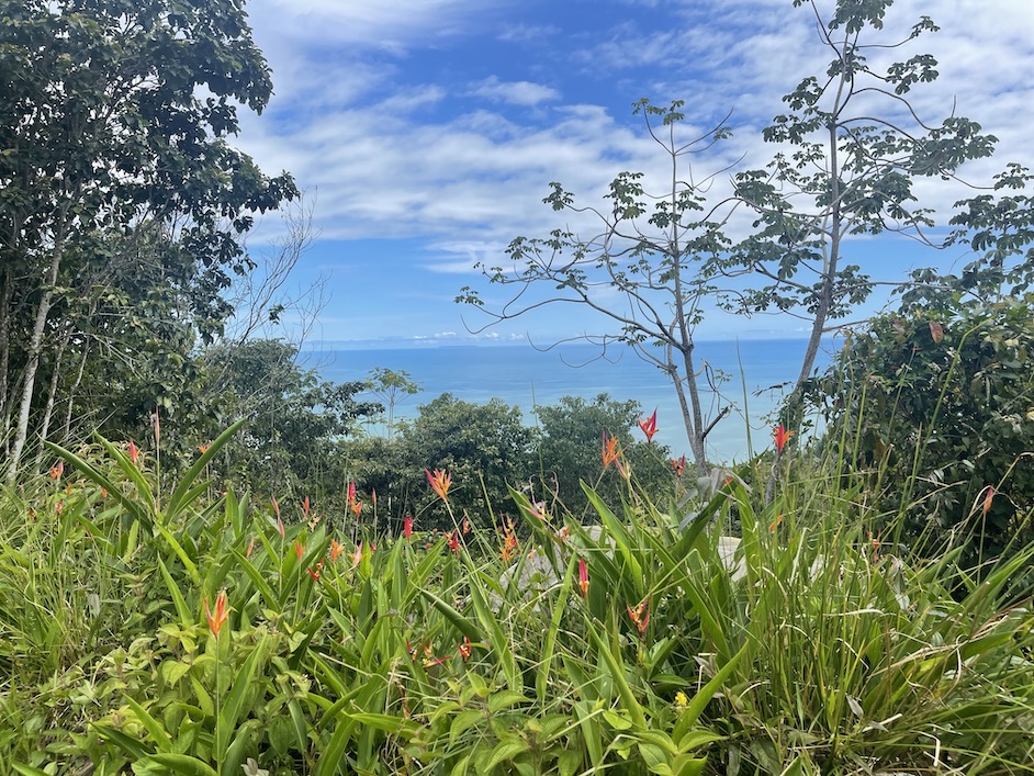 0 bed Land For Sale in Dominical, Puntarenas - thumb 6