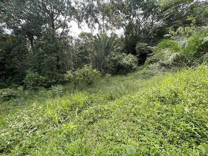 0 bed Land For Sale in Dominical, Puntarenas - thumb 2
