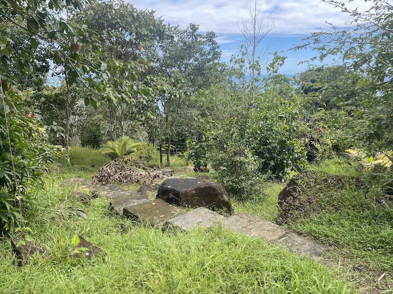 0 bed Land For Sale in Dominical, Puntarenas - thumb 5