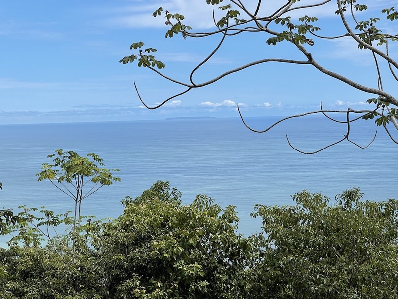 0 bed Land For Sale in Dominical, Puntarenas - 1