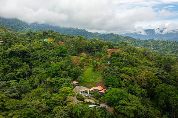 5 bed Hotel / Leisure For Sale in Uvita, Puntarenas - thumb 4