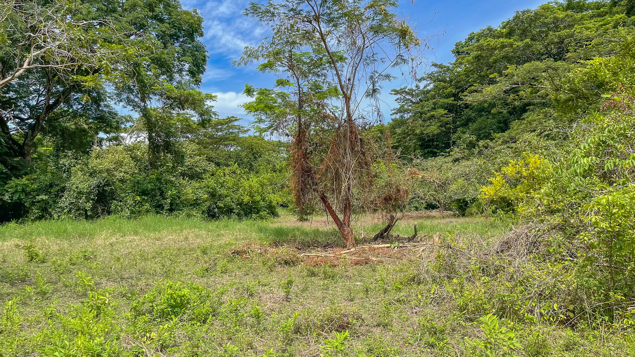 0 bed Land For Sale in Cabuya, Puntarenas - thumb 6