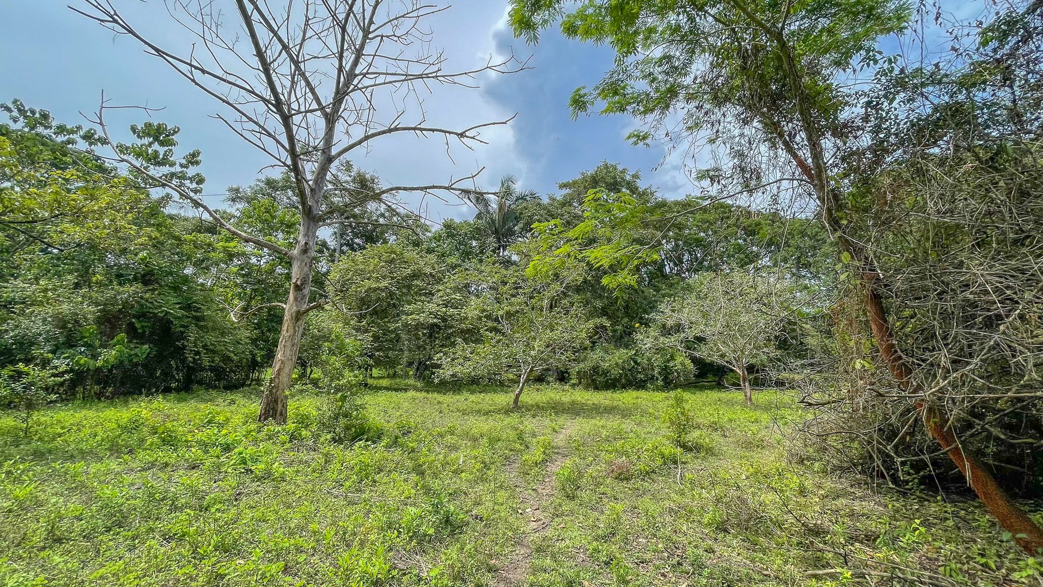 0 bed Land For Sale in Cabuya, Puntarenas - thumb 1