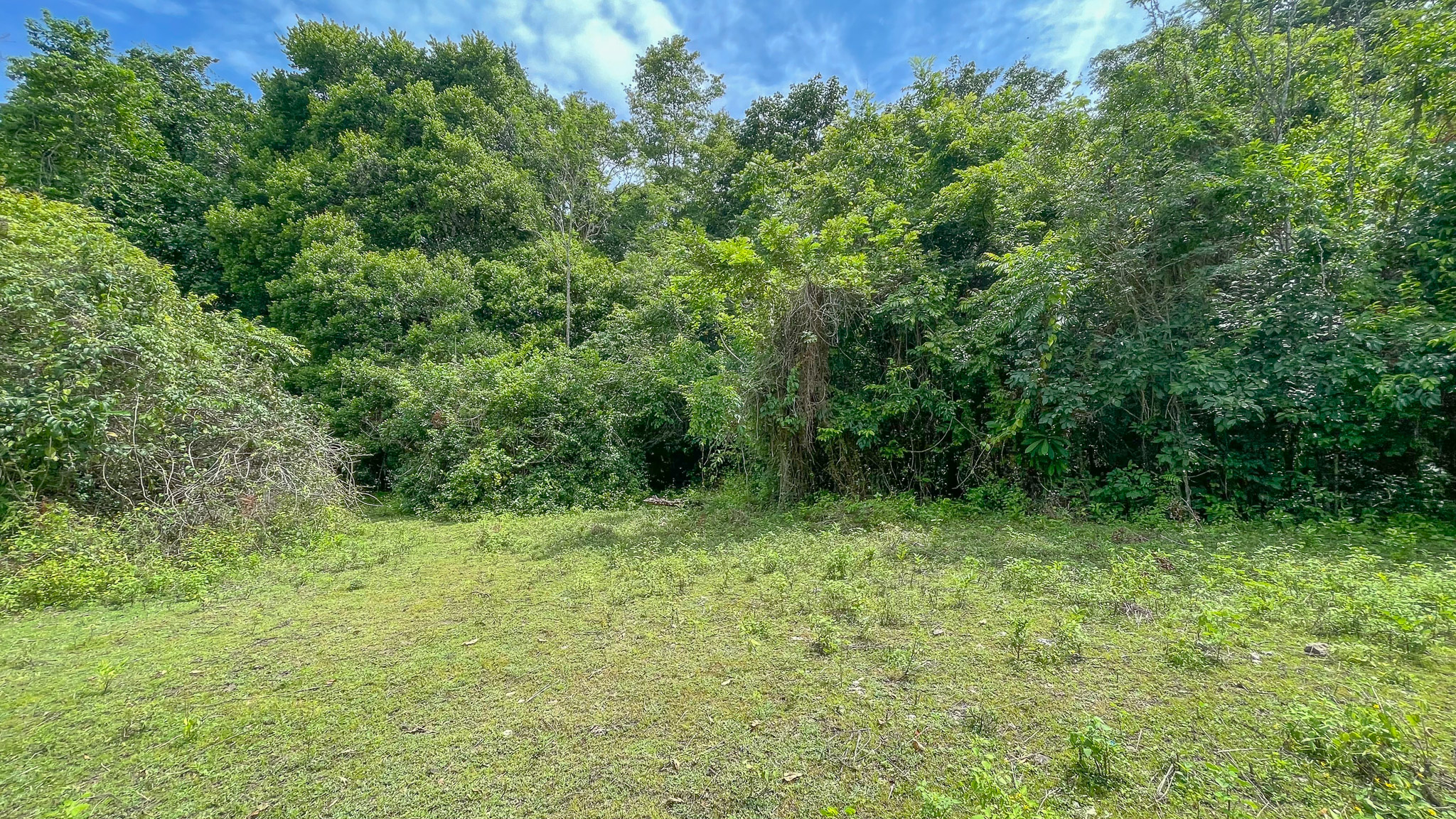 0 bed Land For Sale in Cabuya, Puntarenas - thumb 3