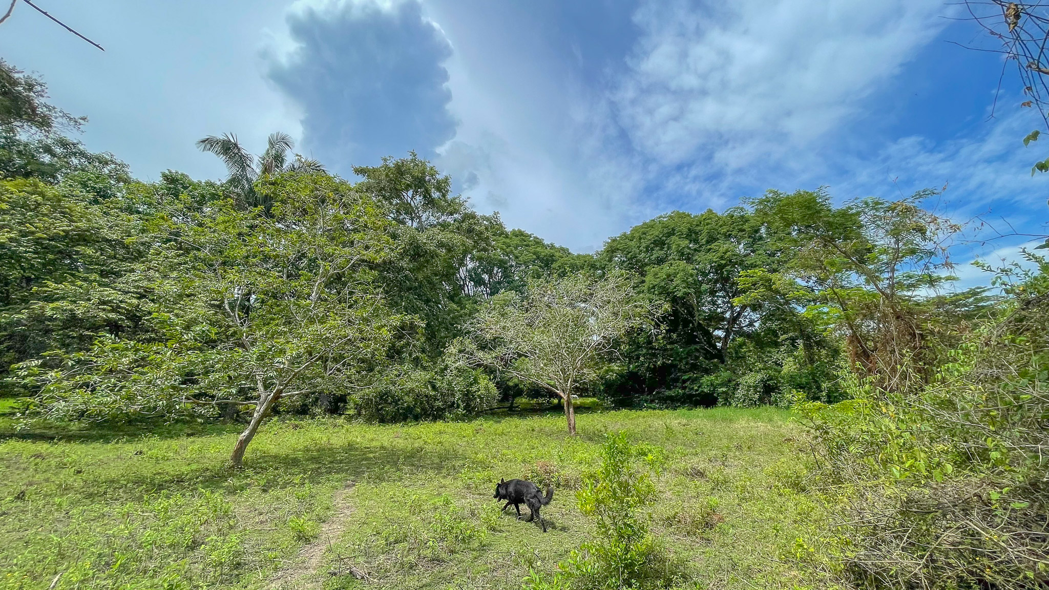 0 bed Land For Sale in Cabuya, Puntarenas - thumb 4