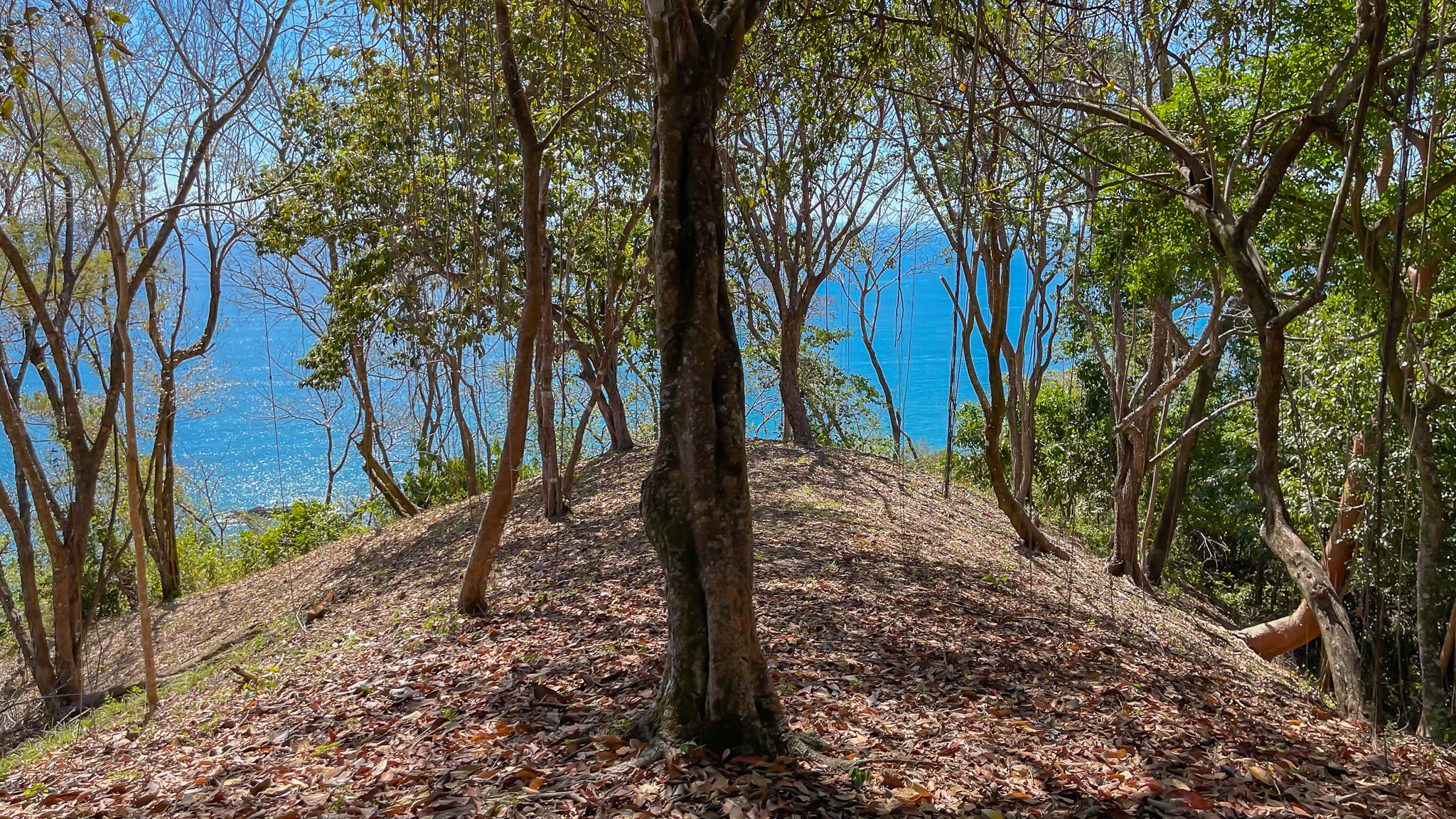 0 bed Land For Sale in Montezuma, Puntarenas - thumb 4