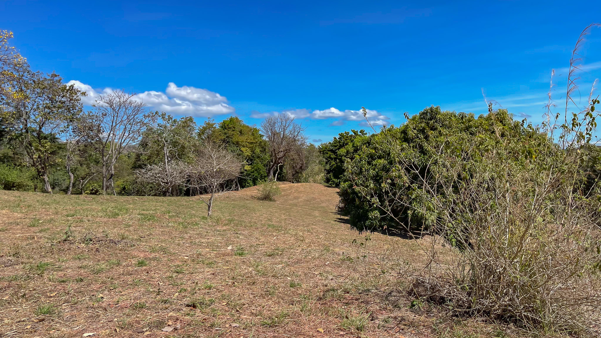 0 bed Land For Sale in Montezuma, Puntarenas - thumb 7