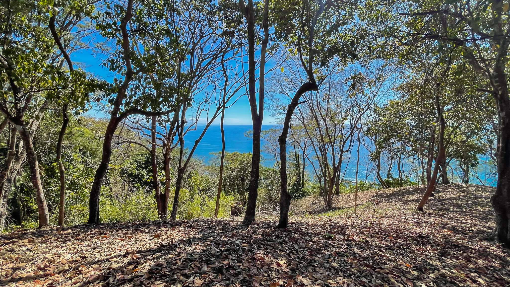 0 bed Land For Sale in Montezuma, Puntarenas - thumb 3