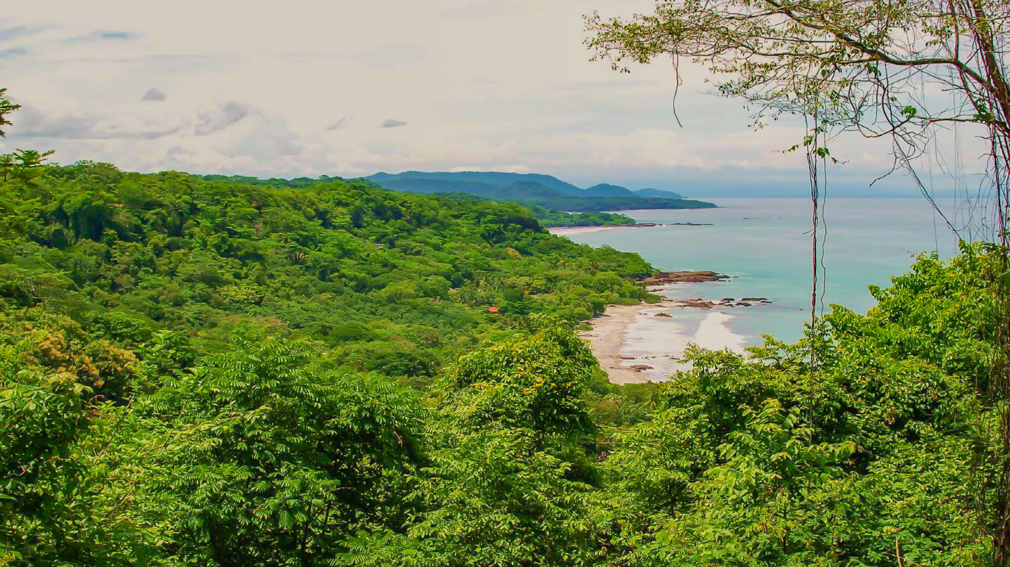 0 bed Land For Sale in Montezuma, Puntarenas - thumb 18