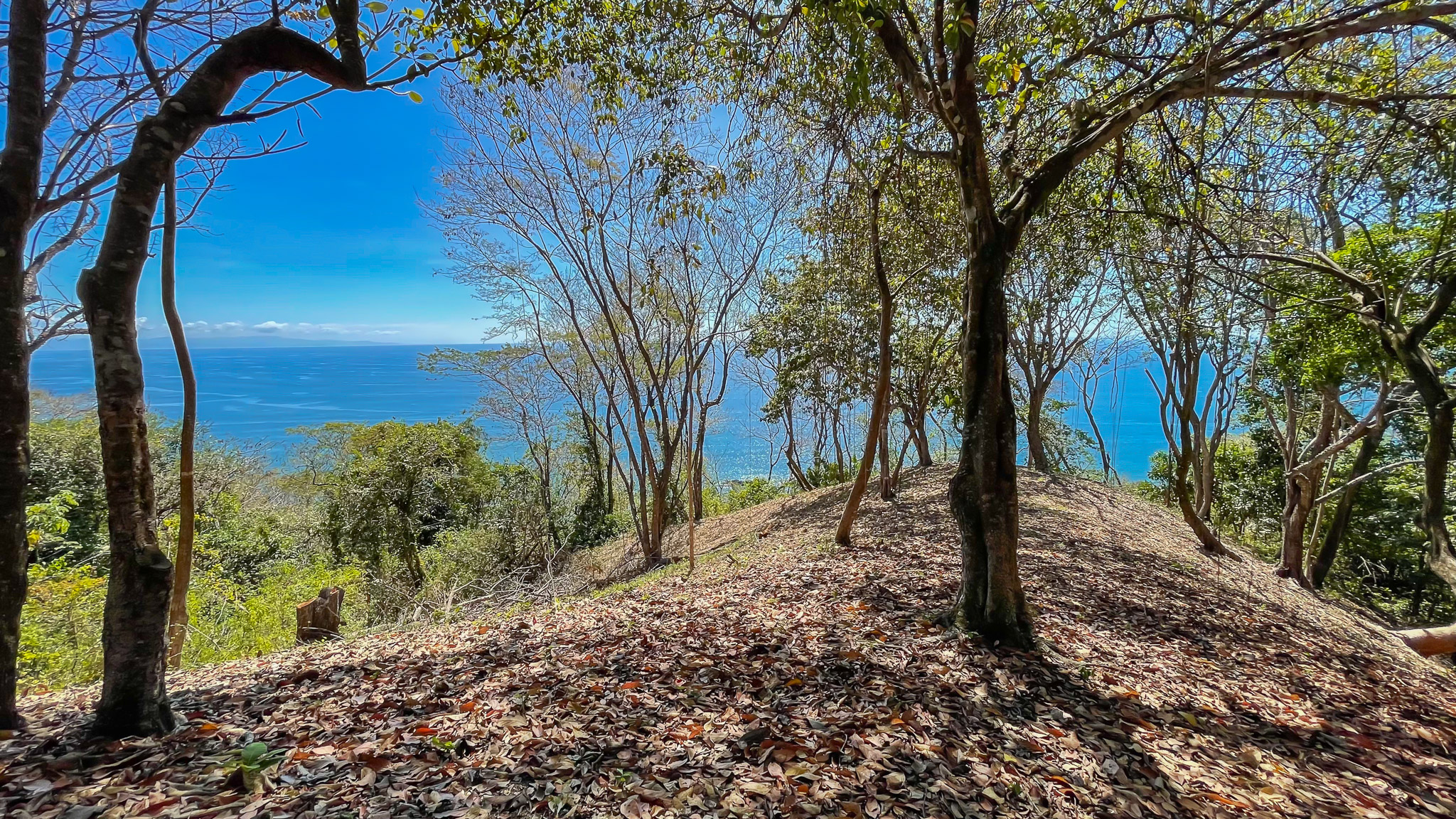 0 bed Land For Sale in Montezuma, Puntarenas - thumb 5