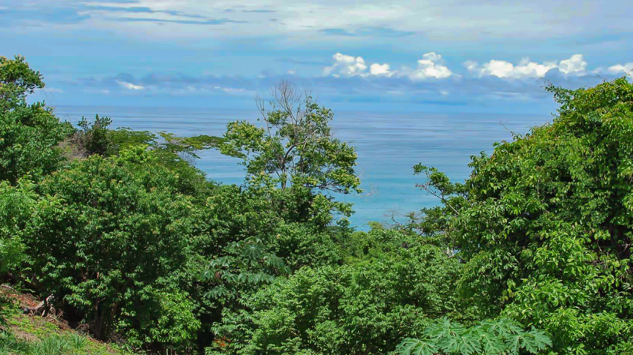 0 bed Land For Sale in Montezuma, Puntarenas - thumb 19