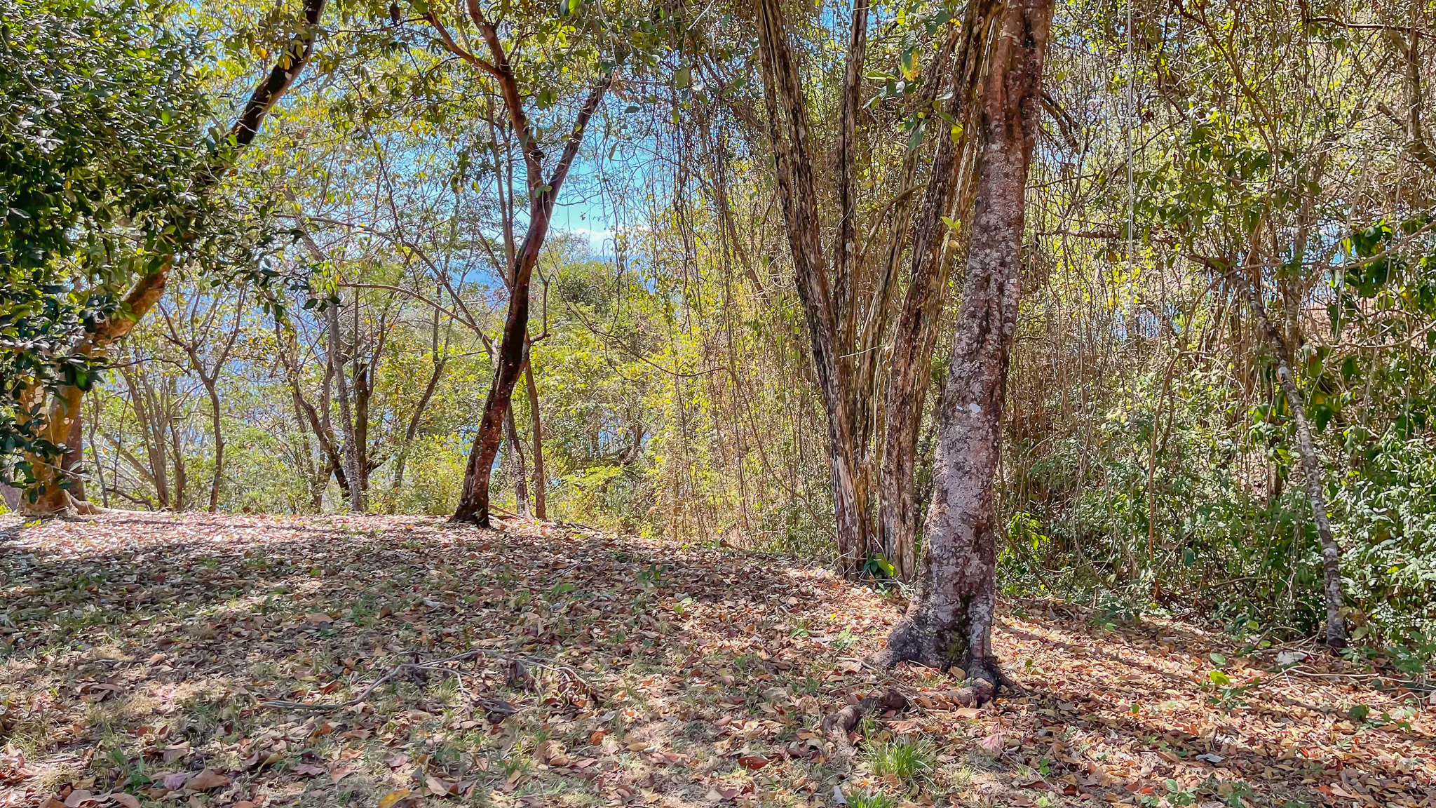 0 bed Land For Sale in Montezuma, Puntarenas - thumb 9