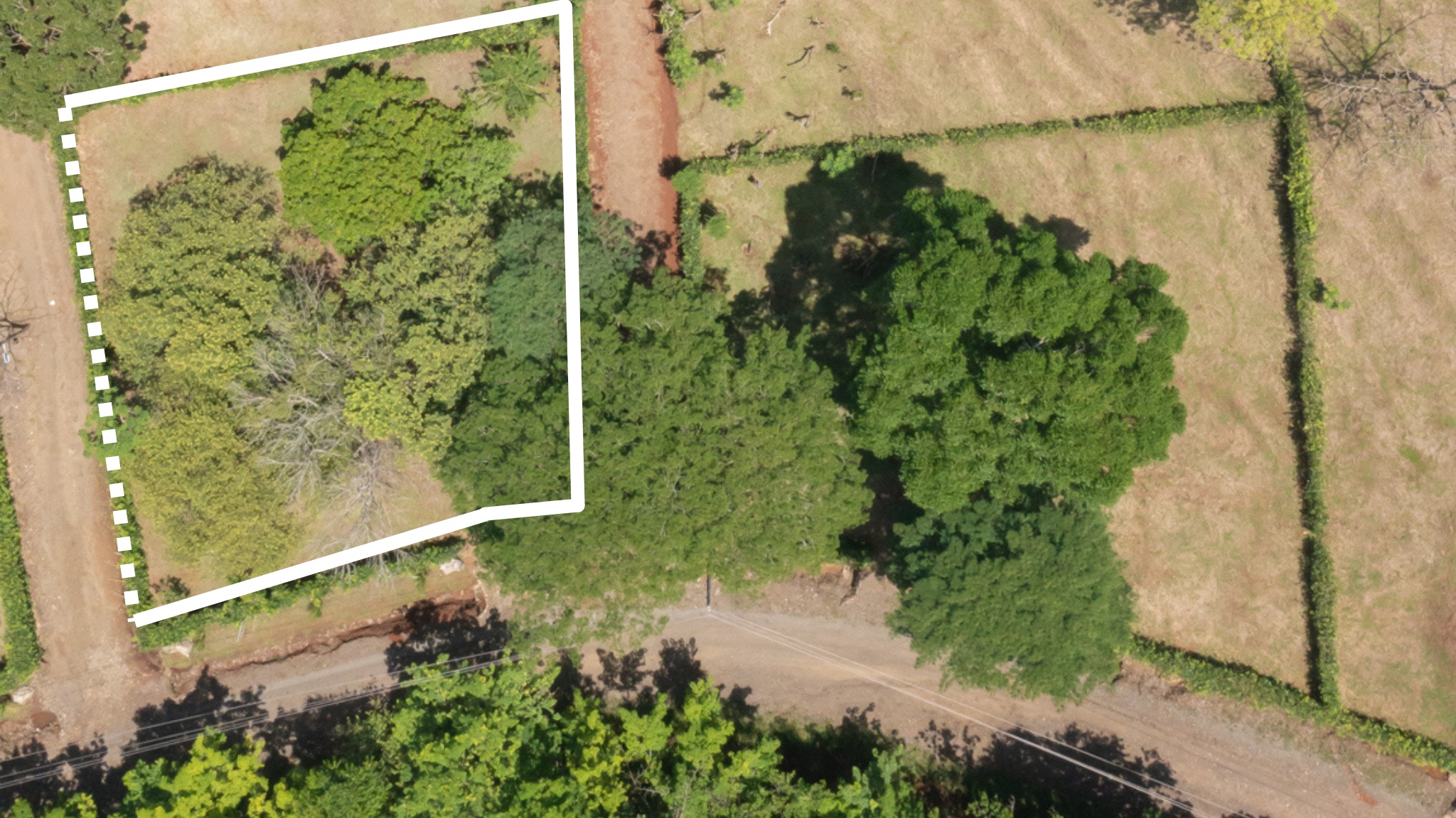 0 bed Land For Sale in Cobano, Puntarenas - thumb 3