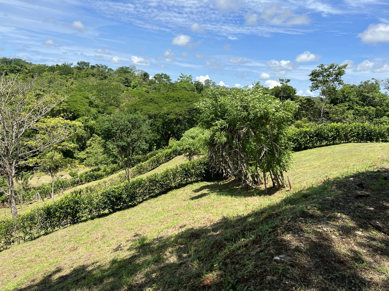 0 bed Land For Sale in Cobano, Puntarenas - thumb 6